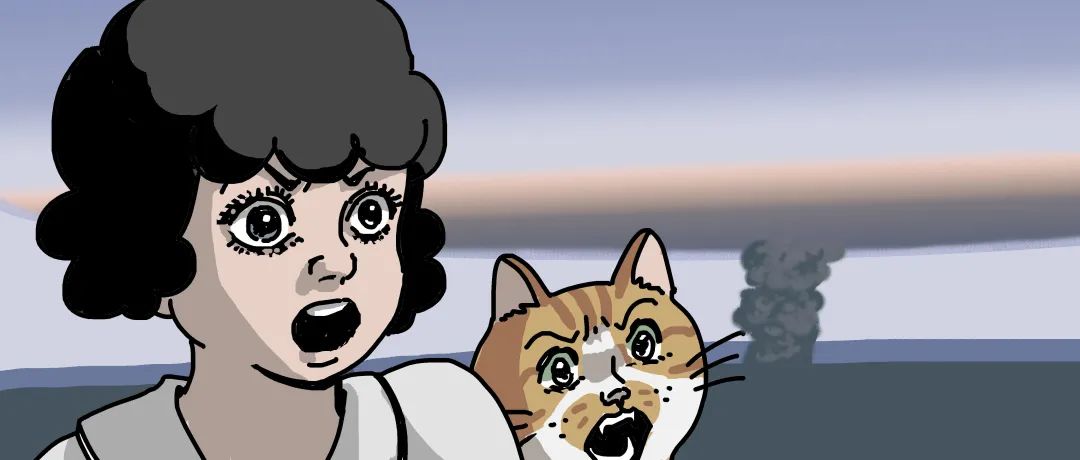 俄亥俄州有危险化学品泄漏,美国化学品泄漏猫粮还能买么