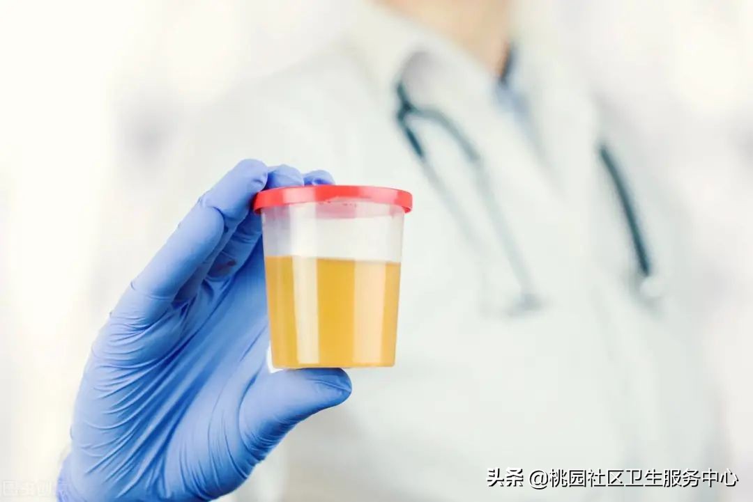 世界肾日科普视频,世界肾脏日如何养生