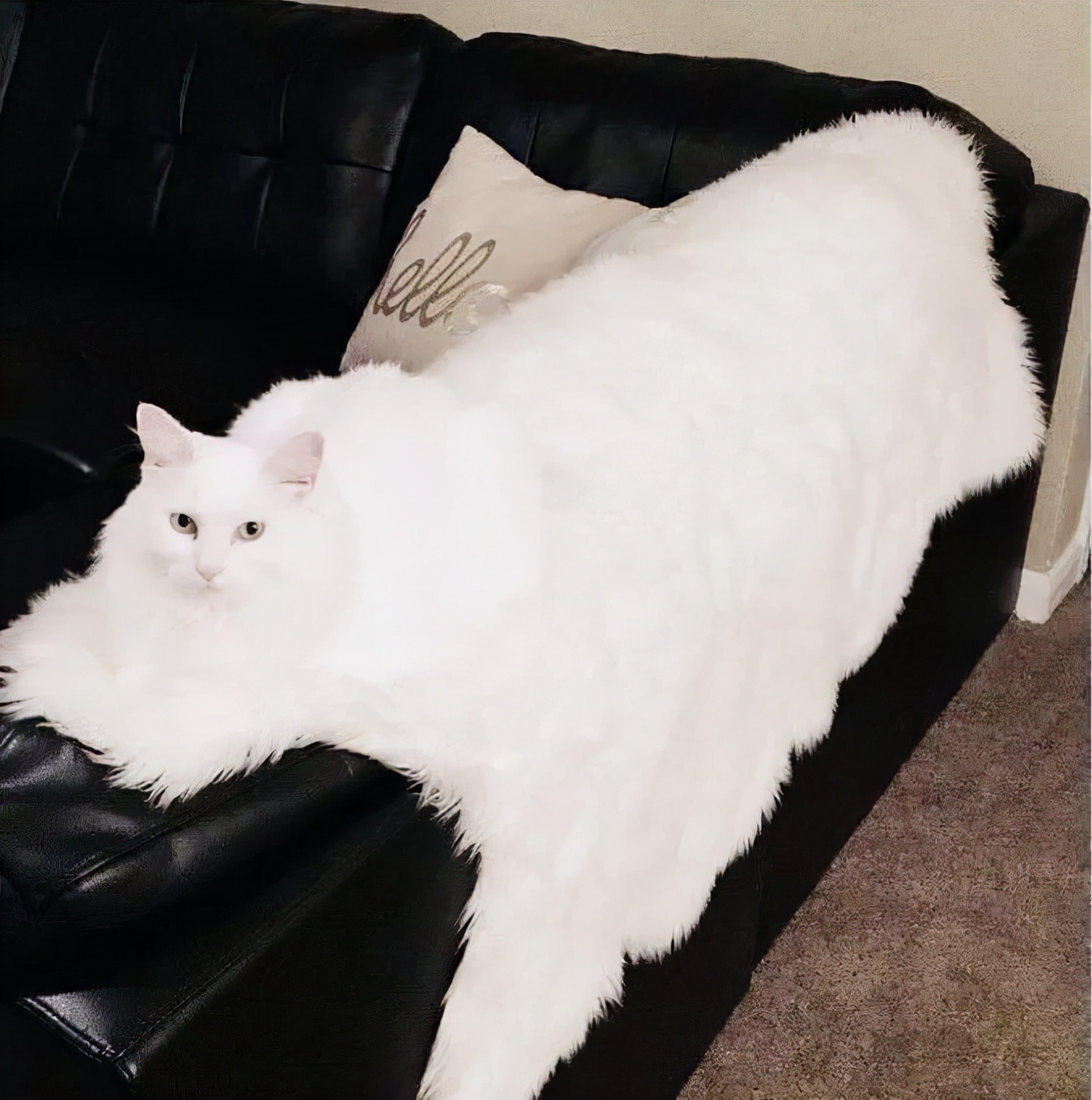 不用烦恼男孩子在想什么|冷段子2015