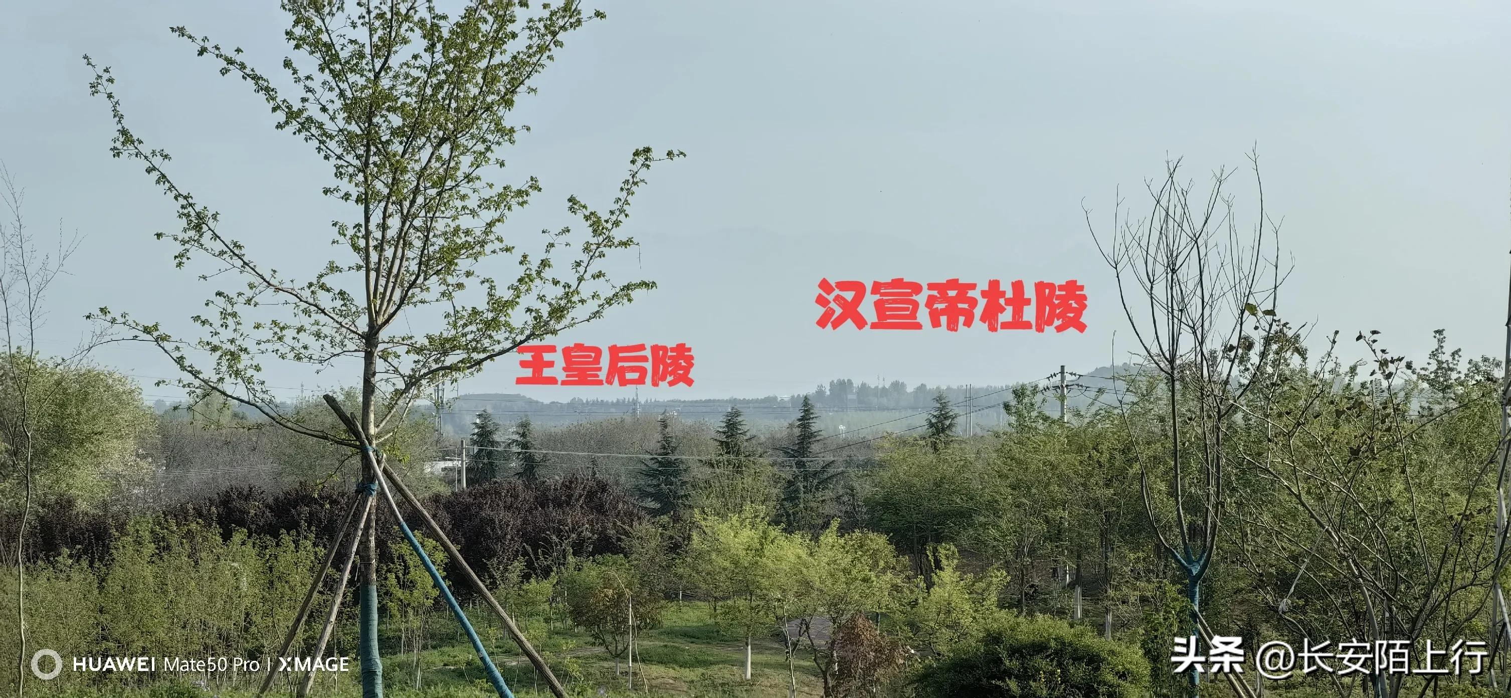 西安植物园新区在哪里,西安新植物园开放了吗