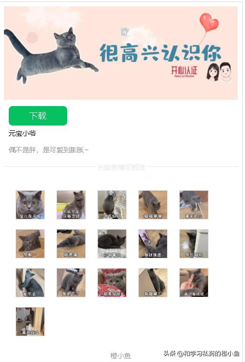 猫和老鼠动态表情包gif微信,乔杉搞笑动图gif微信表情包