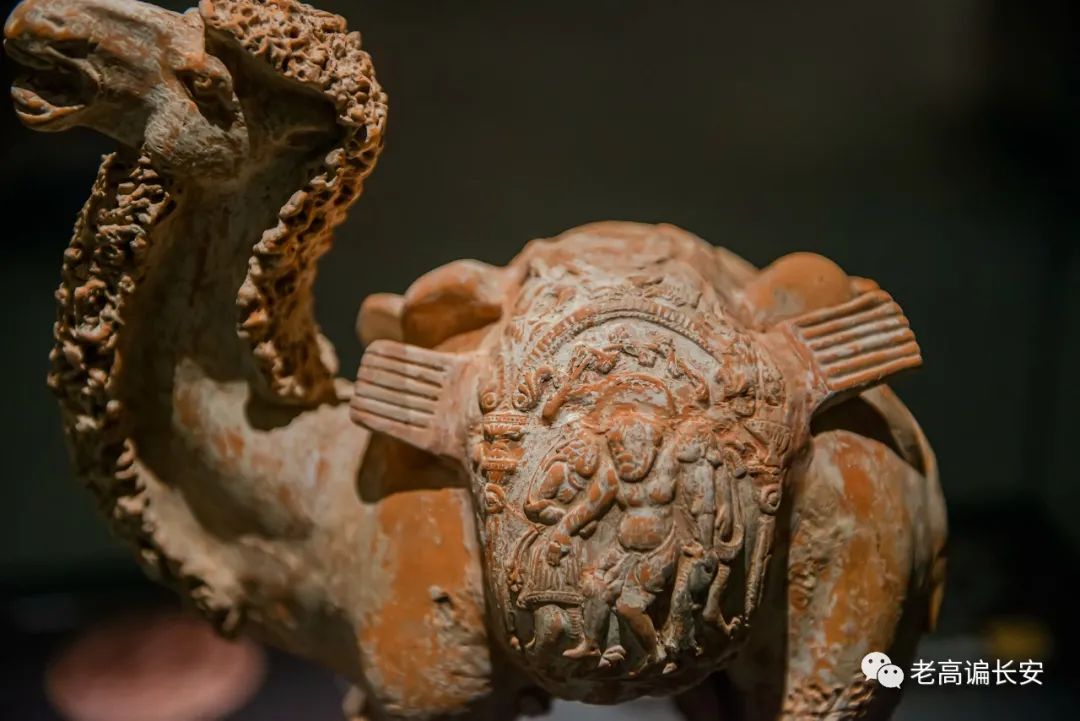 假期参观陕西考古博物馆,陕西考古博物馆开馆直播