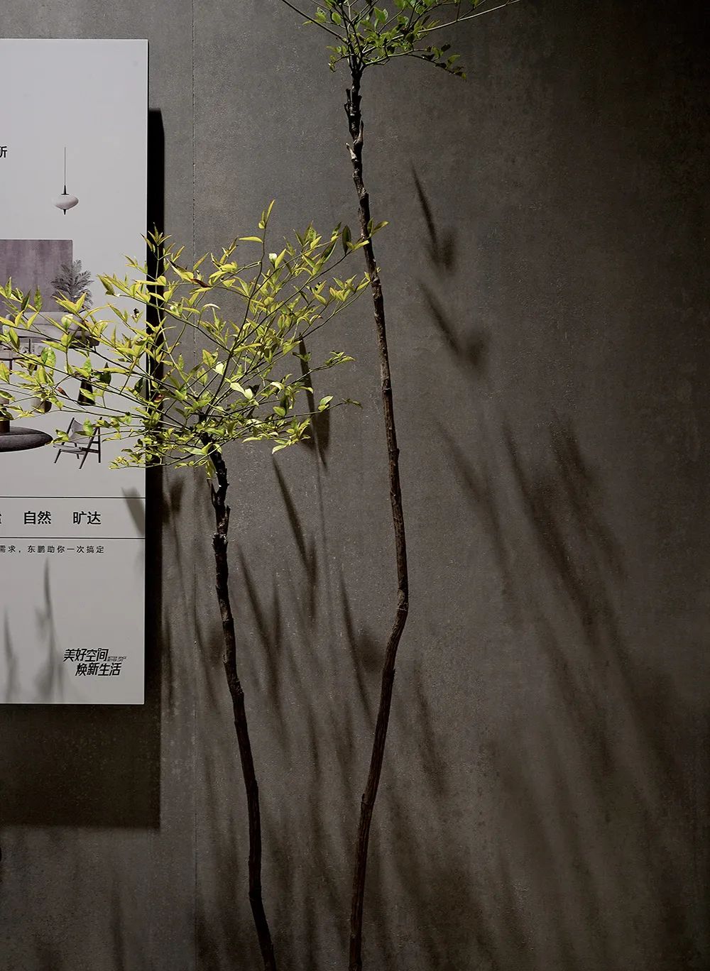 东鹏瓷砖的品牌标志是什么,东鹏瓷砖世界印象系列新品上新