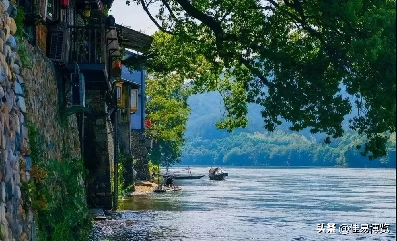 迟子建一坛猪油在线阅读,迟子建一罐猪油讲的是什么