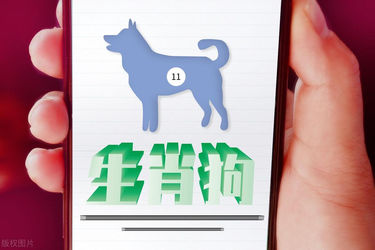 2023年生肖狗七月运势,2023年7月份生肖狗运势