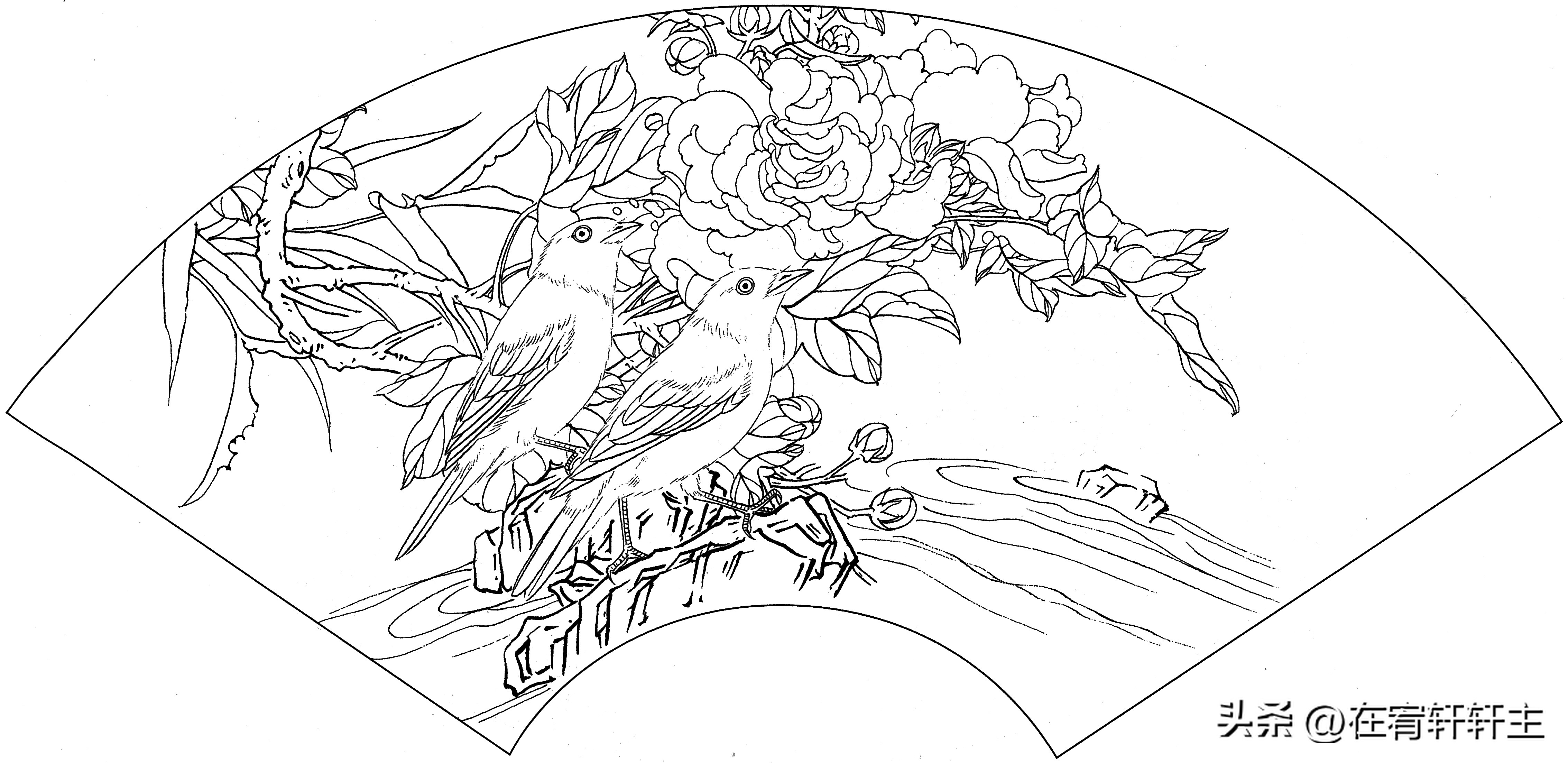 工笔白描祥云图案扇面,工笔扇面葡萄白描图片