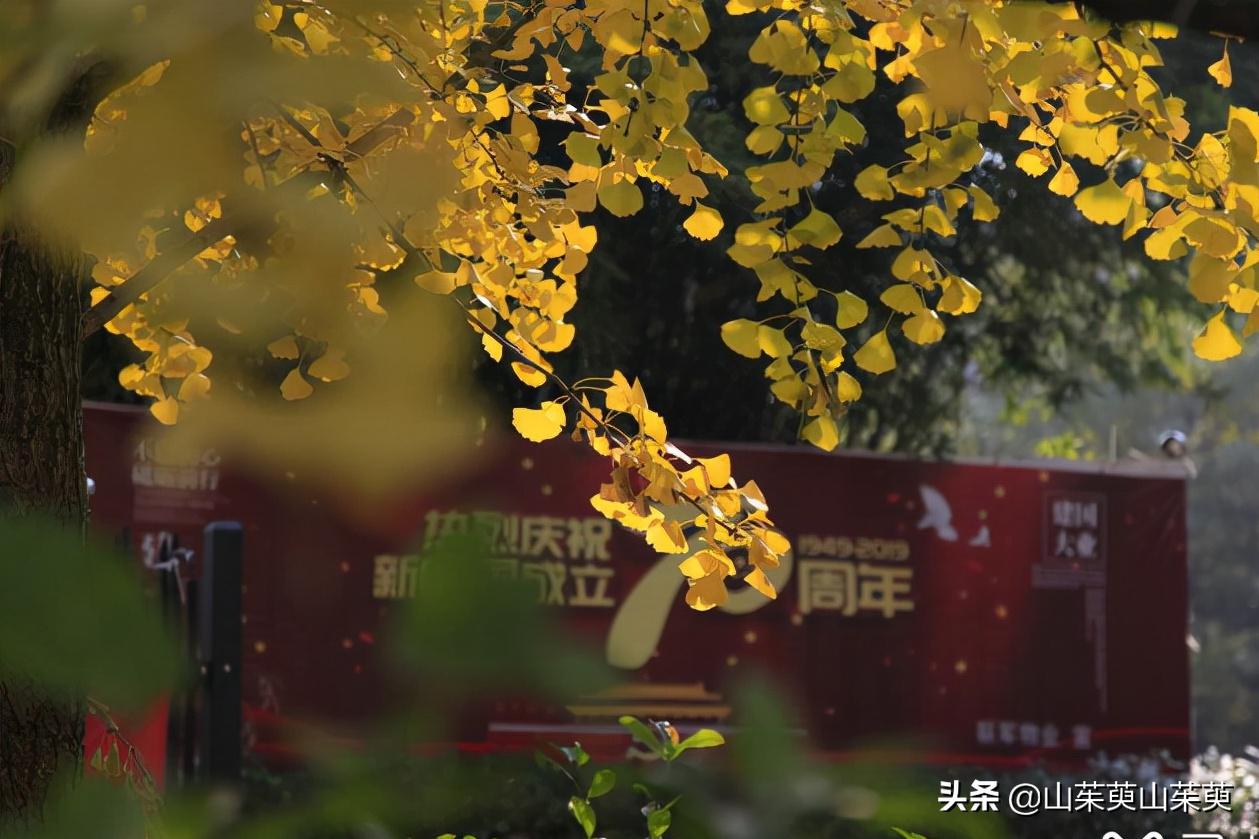 芜湖旅游攻略教堂,芜湖鸠兹风景区