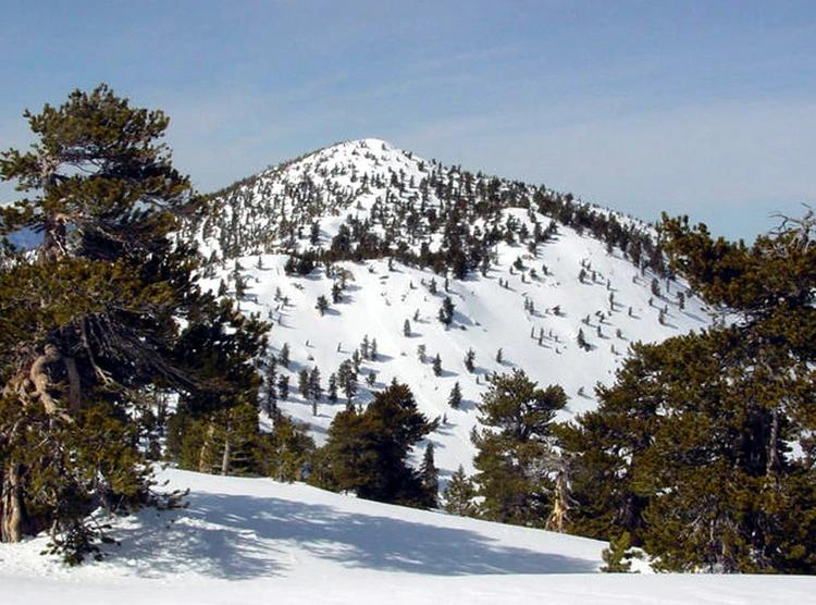 1991年中国科考队担心考察北极受阻，挪威：中国66年前已签过条约