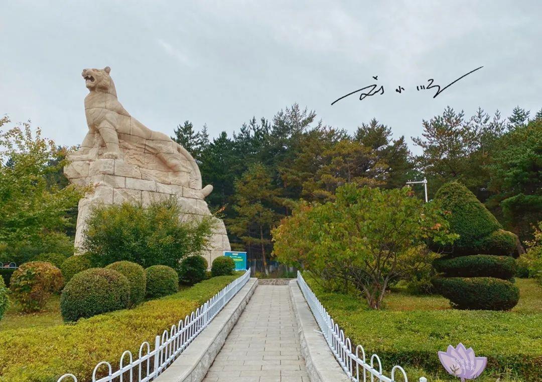 延吉的免费小众景点,游览延吉视频