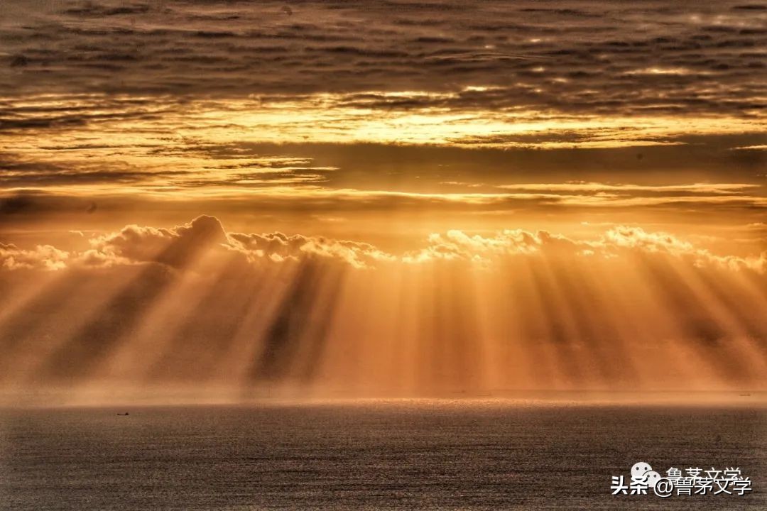 散文作家苏沧桑,冬酿散文