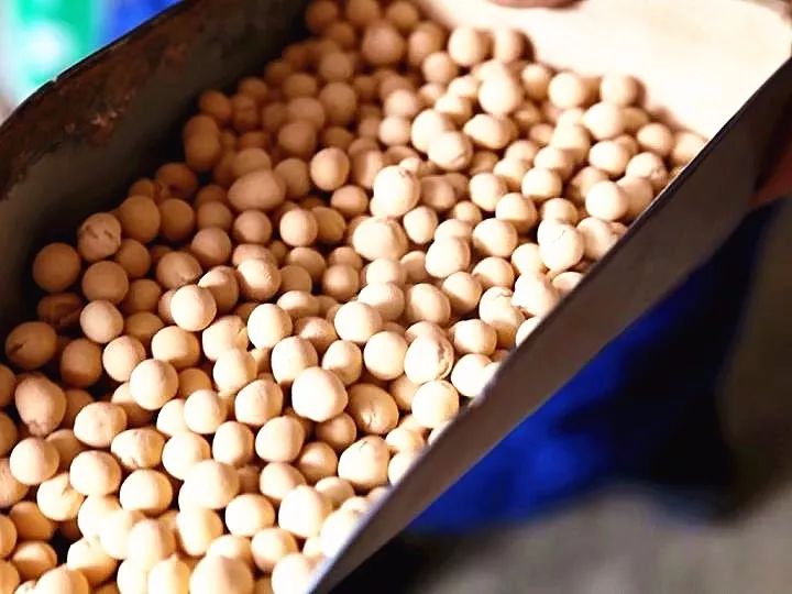 陕州面豆的正宗做法,陕州面豆