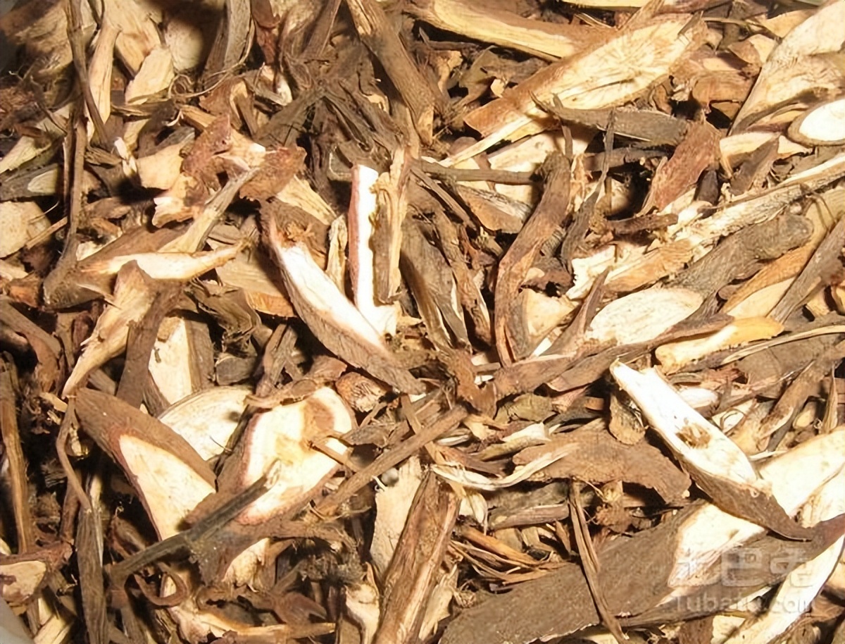 巴戟天千斤拔牛大力泡酒功效作用,千斤拔牛大力巴戟天杜仲泡酒功效