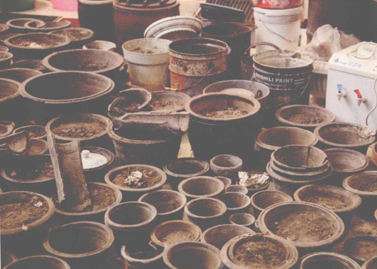 纽约拾荒中国大妈,纽约博物馆中国老太太