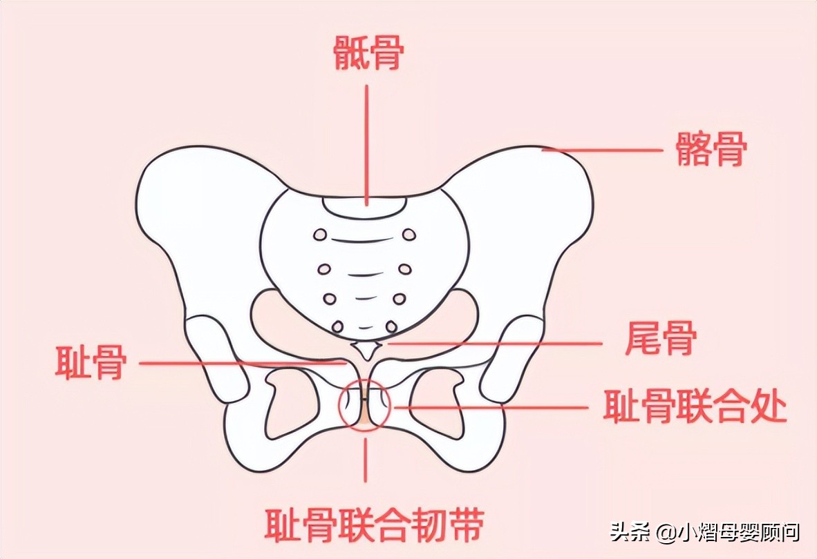 生完孩子盆骨变宽怎么恢复,生完孩子屁股变宽怎么恢复