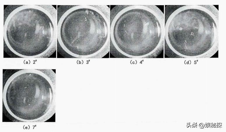 光学反射膜工艺,光学反射膜涂布