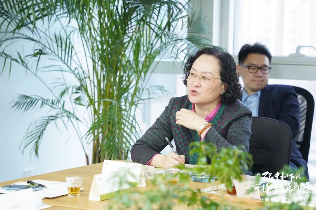 专家谈碳中和,碳中和专家访谈