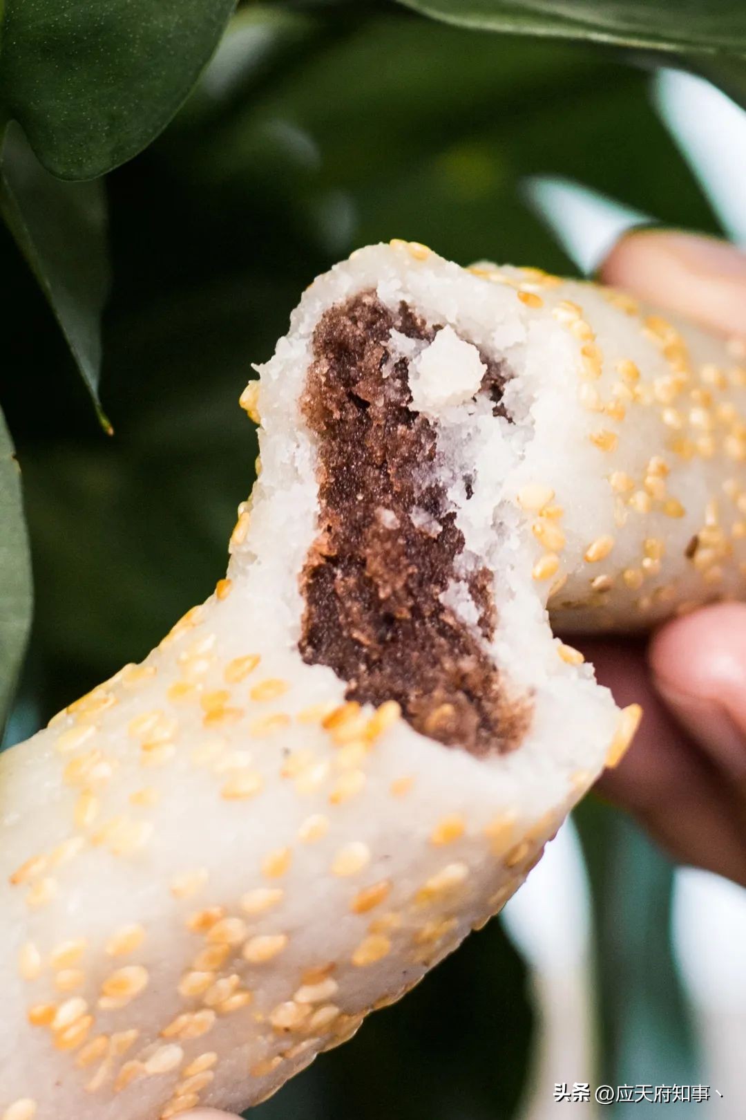 南京糕团百年老字号,南京老字号三星糕团