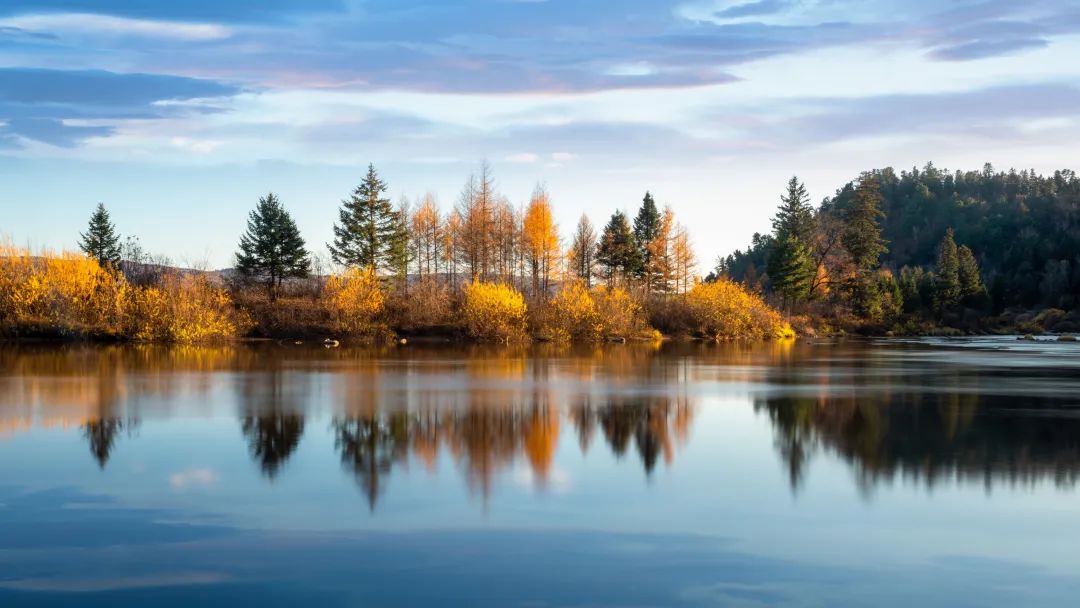 ppt中裁剪视频形状,ppt中裁剪图片大小快捷键