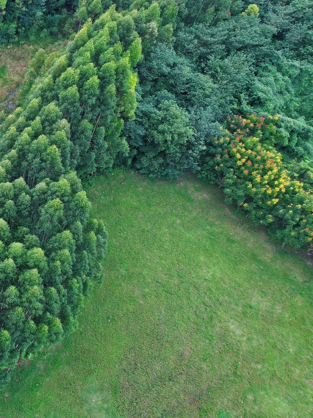 放假去哪里玩又便宜又好玩成都,假期去哪玩便宜又好玩儿成都