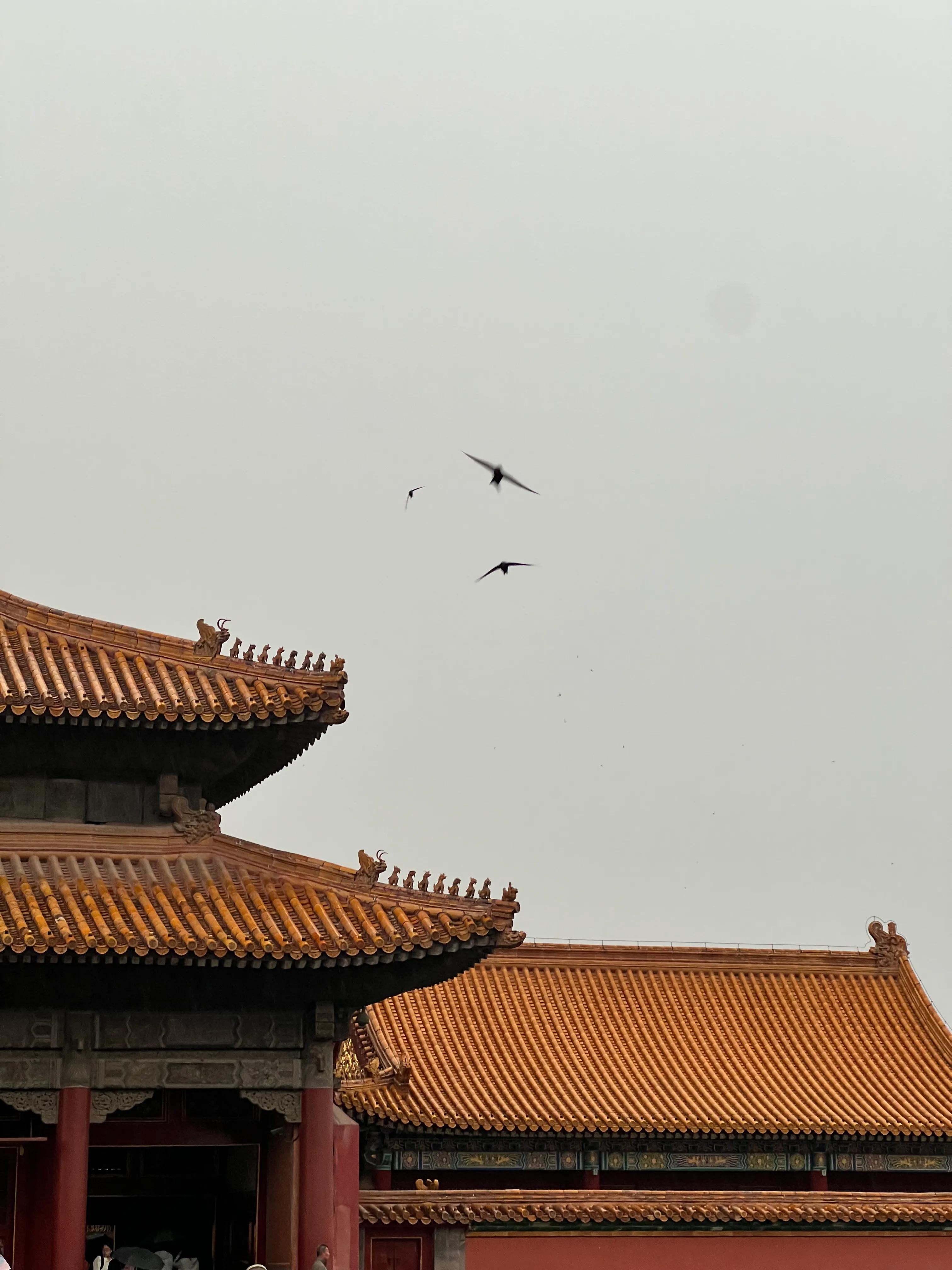 北京环球影城游玩攻略,北京两天一晚攻略