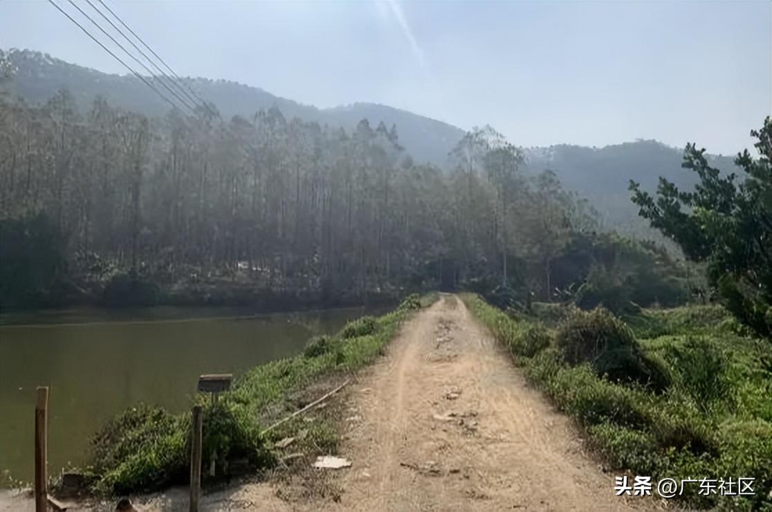春季国内观鸟热门地,这份观鸟地图请收好
