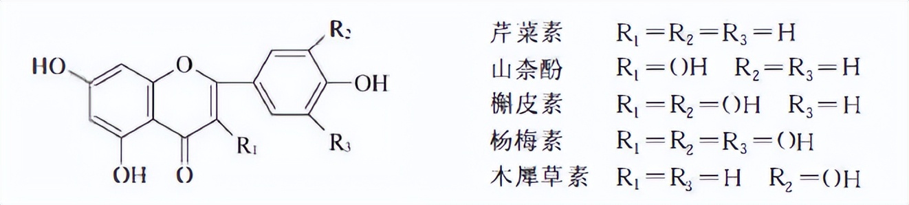 含黄酮类成分的药材有,陈皮的黄酮类成分作用