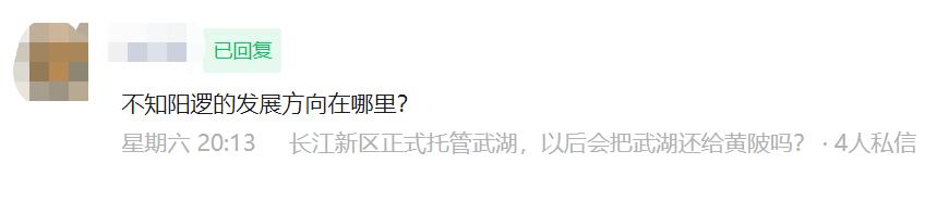 从新洲区大太子变长江新区的小老二，阳逻的发展出路到底在哪里？