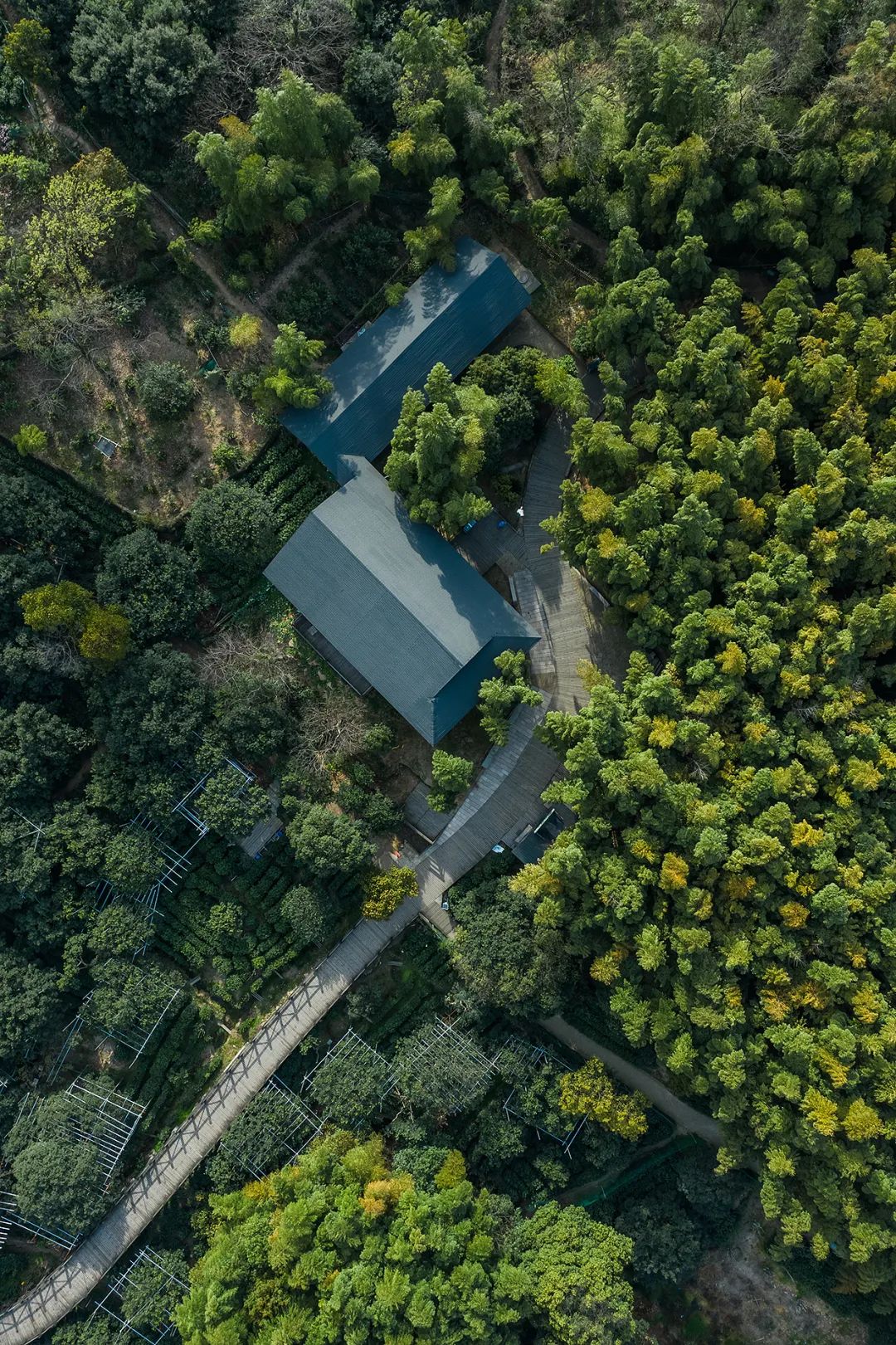 苏州京杭大运河健身步道,苏州环古城健身步道图