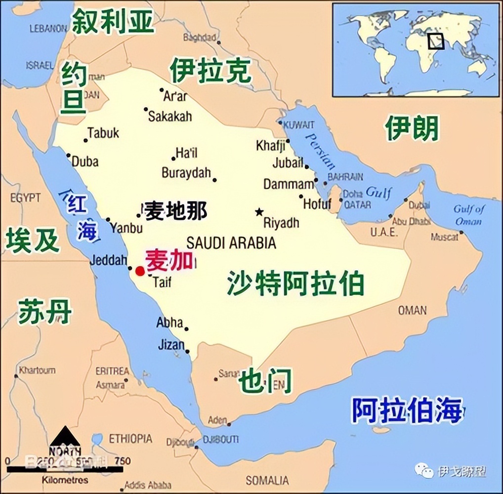 卡塔尔世界杯32强巡礼之巴西,卡塔尔亚洲杯球队巡礼沙特阿拉伯