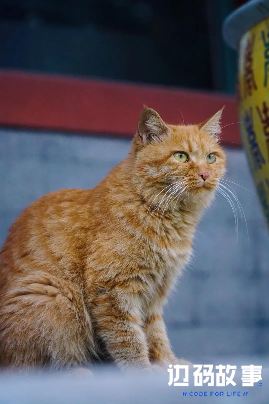 面瘫的人怎么进行人脸验证,面瘫人脸识别