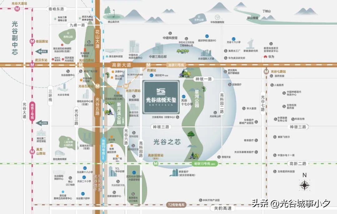 杀疯了1完整版免费观看,杀疯了1完整版免费