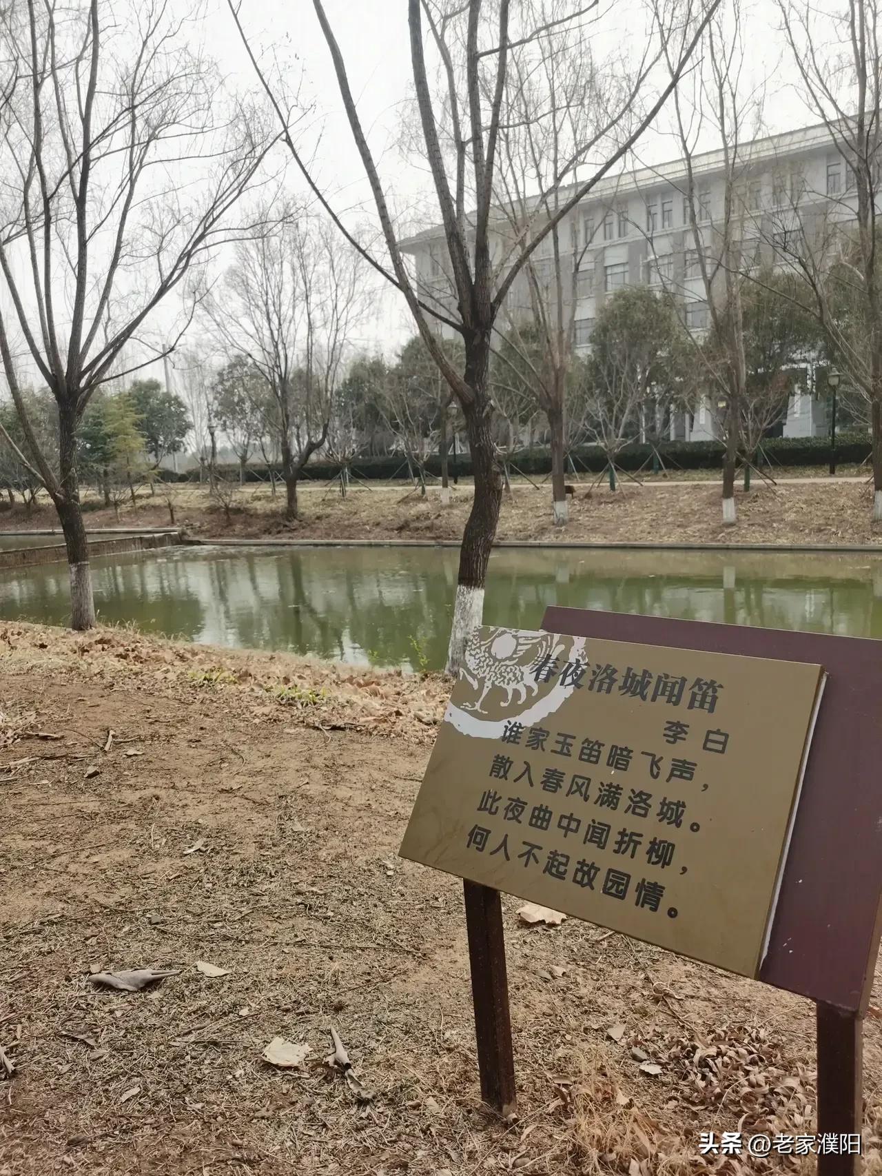 以前的洛阳vs现在的洛阳,曾经的洛阳大学