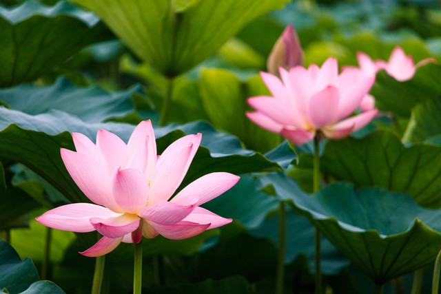 金句盲盒｜愚蠢还有一个好听的名字叫“单纯”