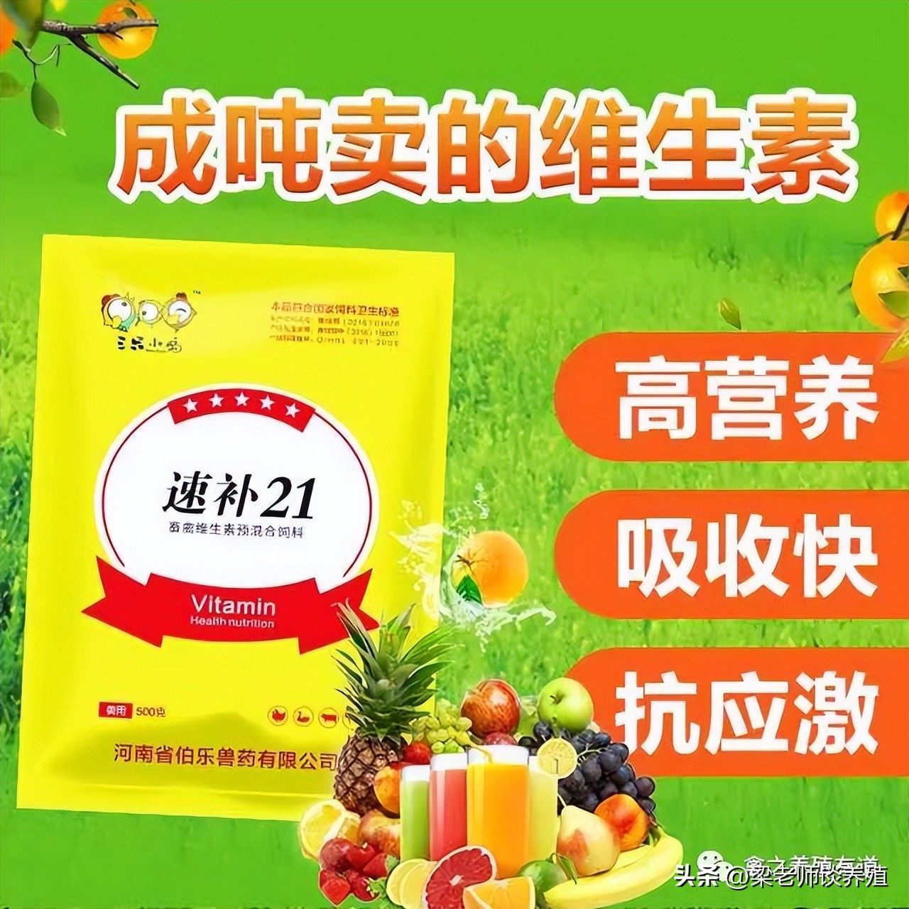 强力霉素+泰乐菌素，简单实用，防治养鸡场3大类混感病