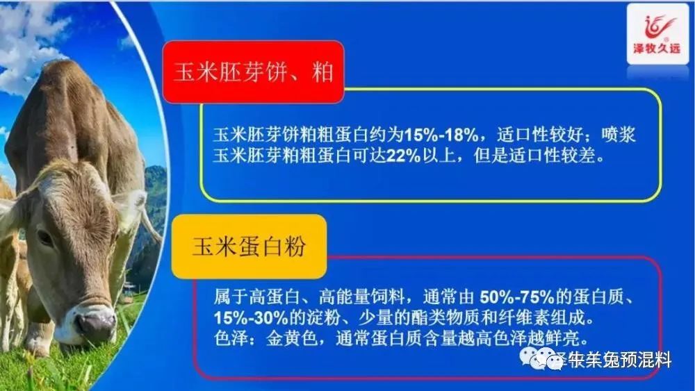 豆粕暴涨严重影响养猪业,豆粕疯涨能用什么替代