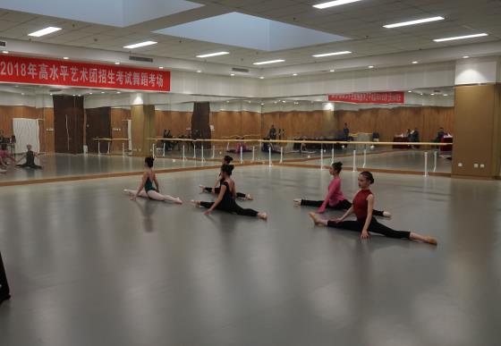 给孩子报名舞蹈班有几种舞种,成人零基础学舞蹈适合哪个舞种