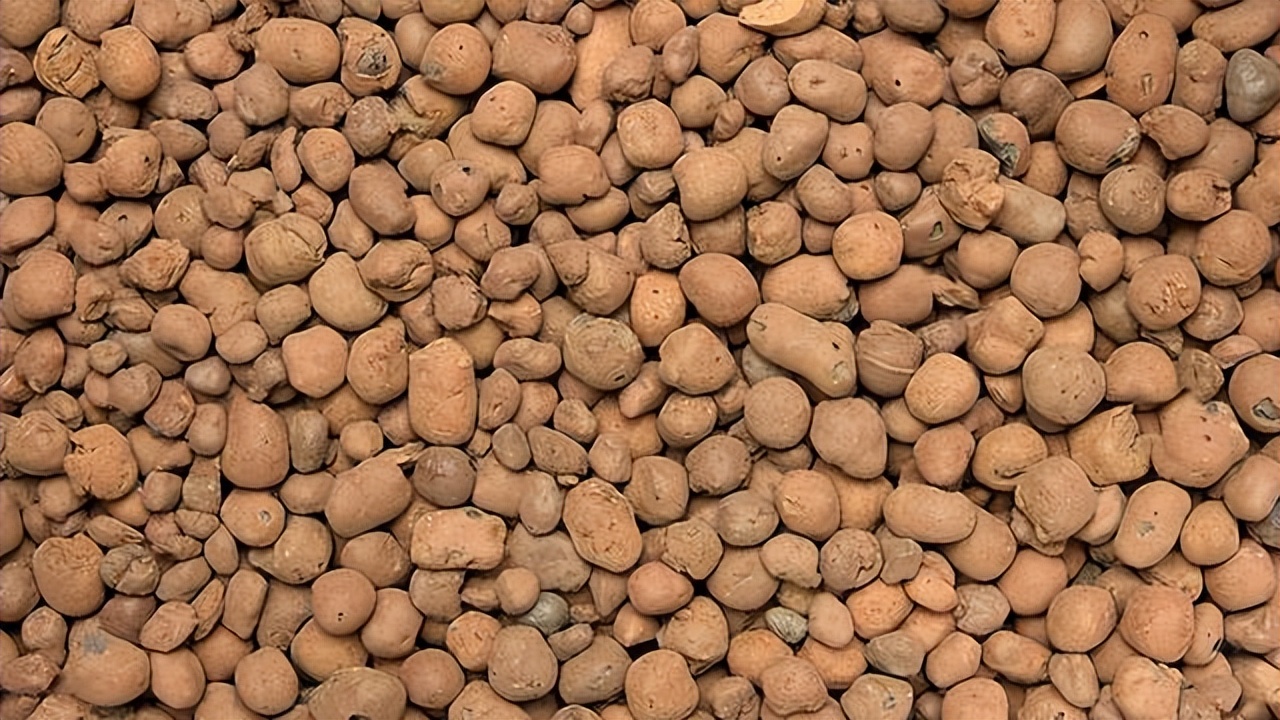 养花必买的有什么东西,养花必备的10件神器