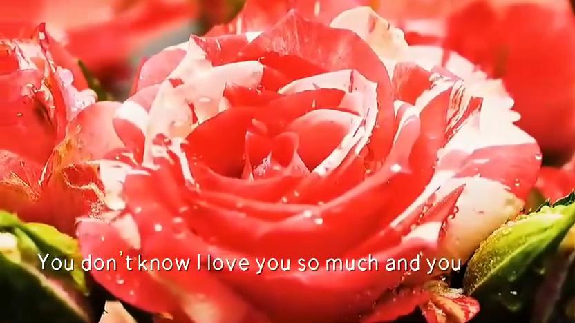 【夜听】我爱你，怎么办？