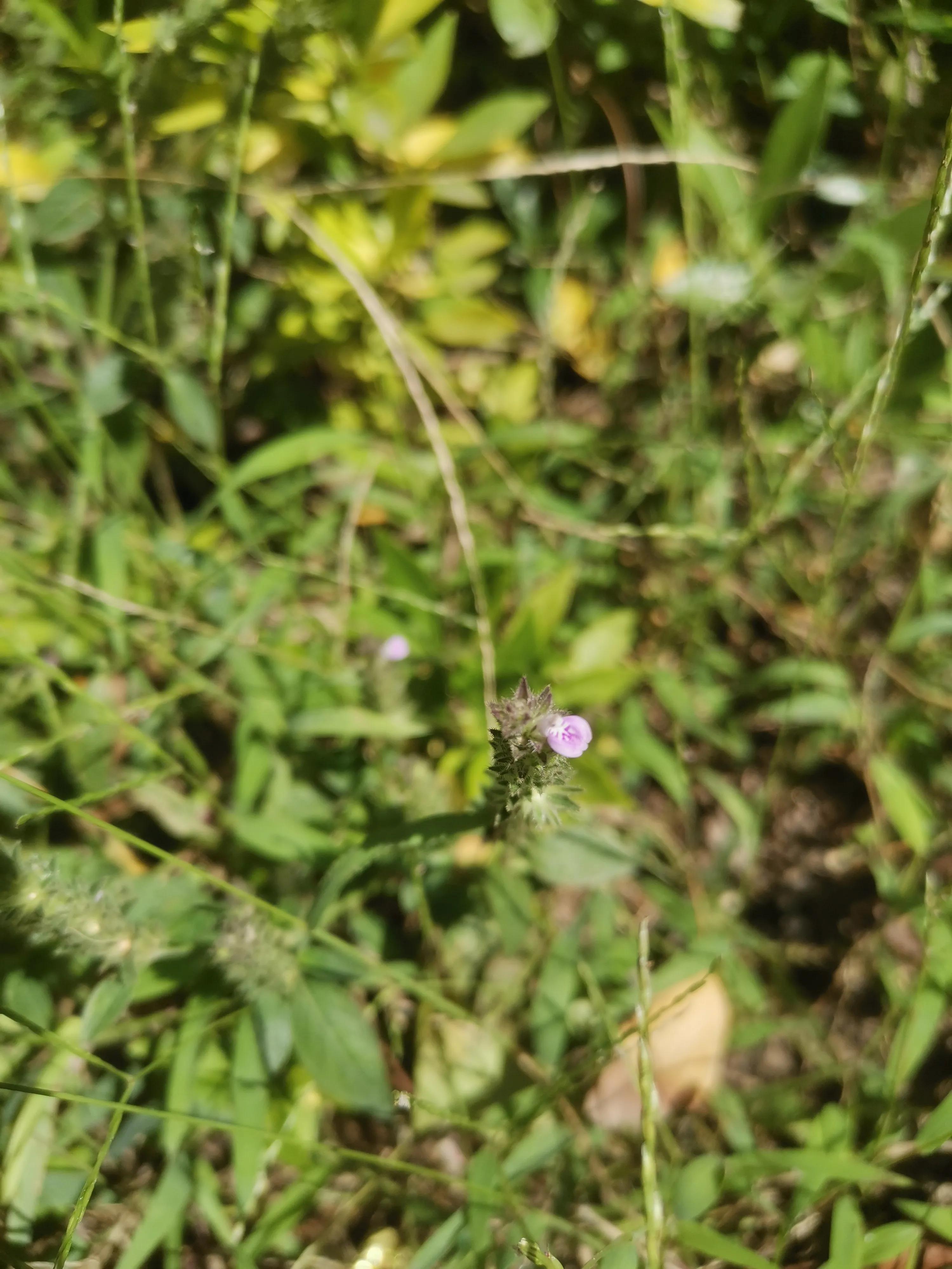 新的一月第一天文案高级感走心,关于这一年文案简单高级