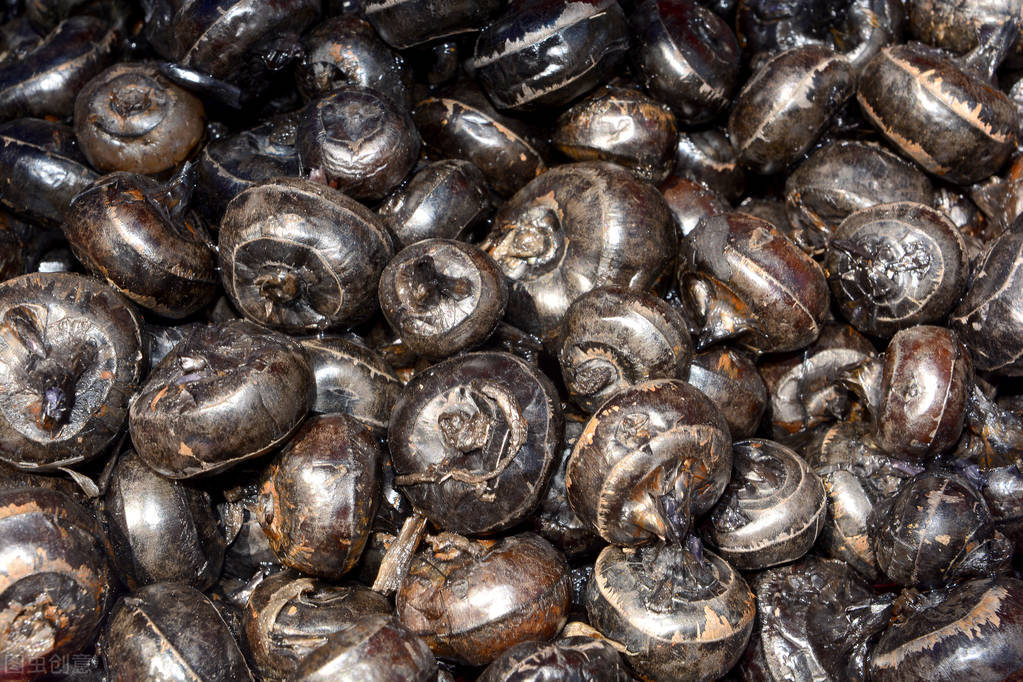 回忆家乡美食的散文,留住乡愁优美散文