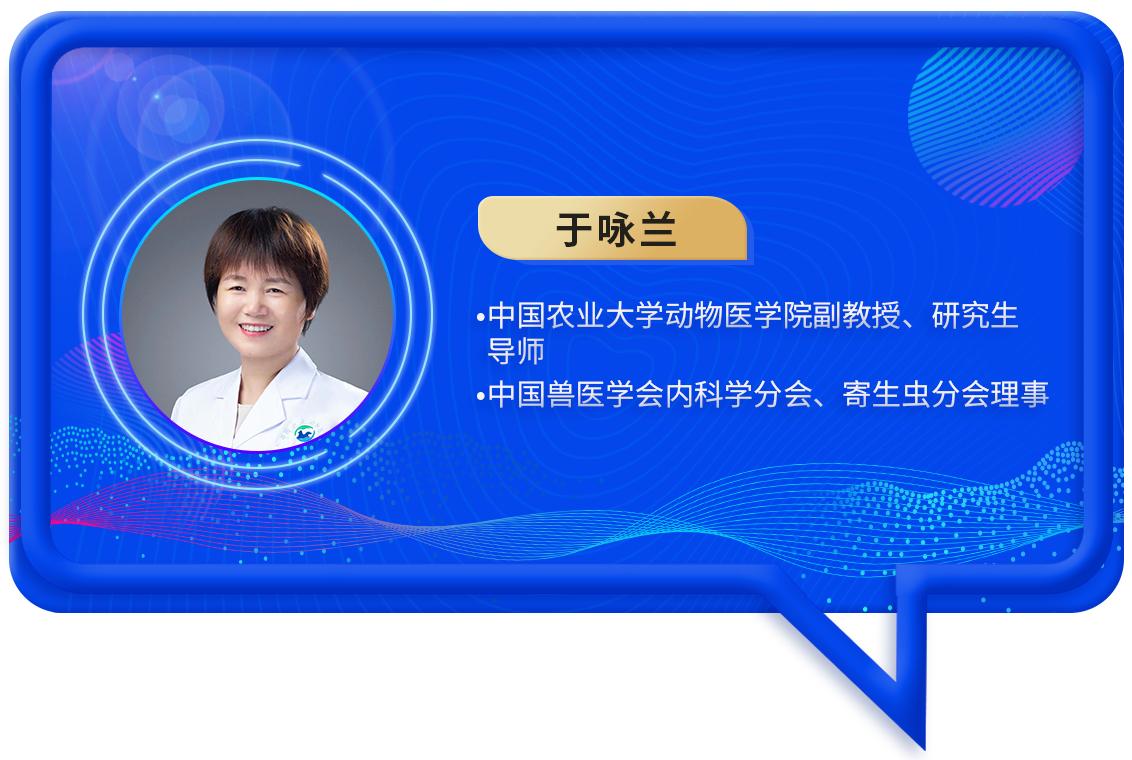 宠物营养研究现状及发展前景,宠物营养研究与发展