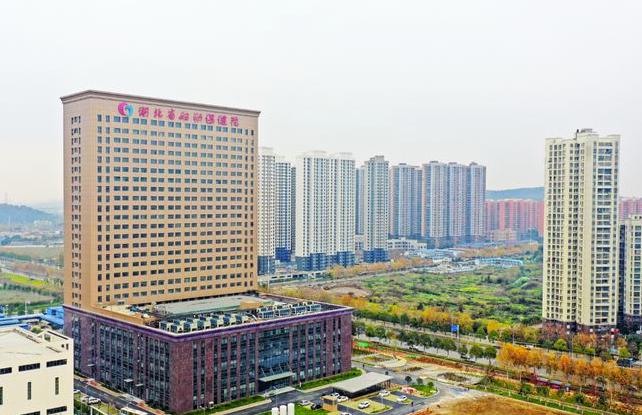 华中科技大学的10家医院