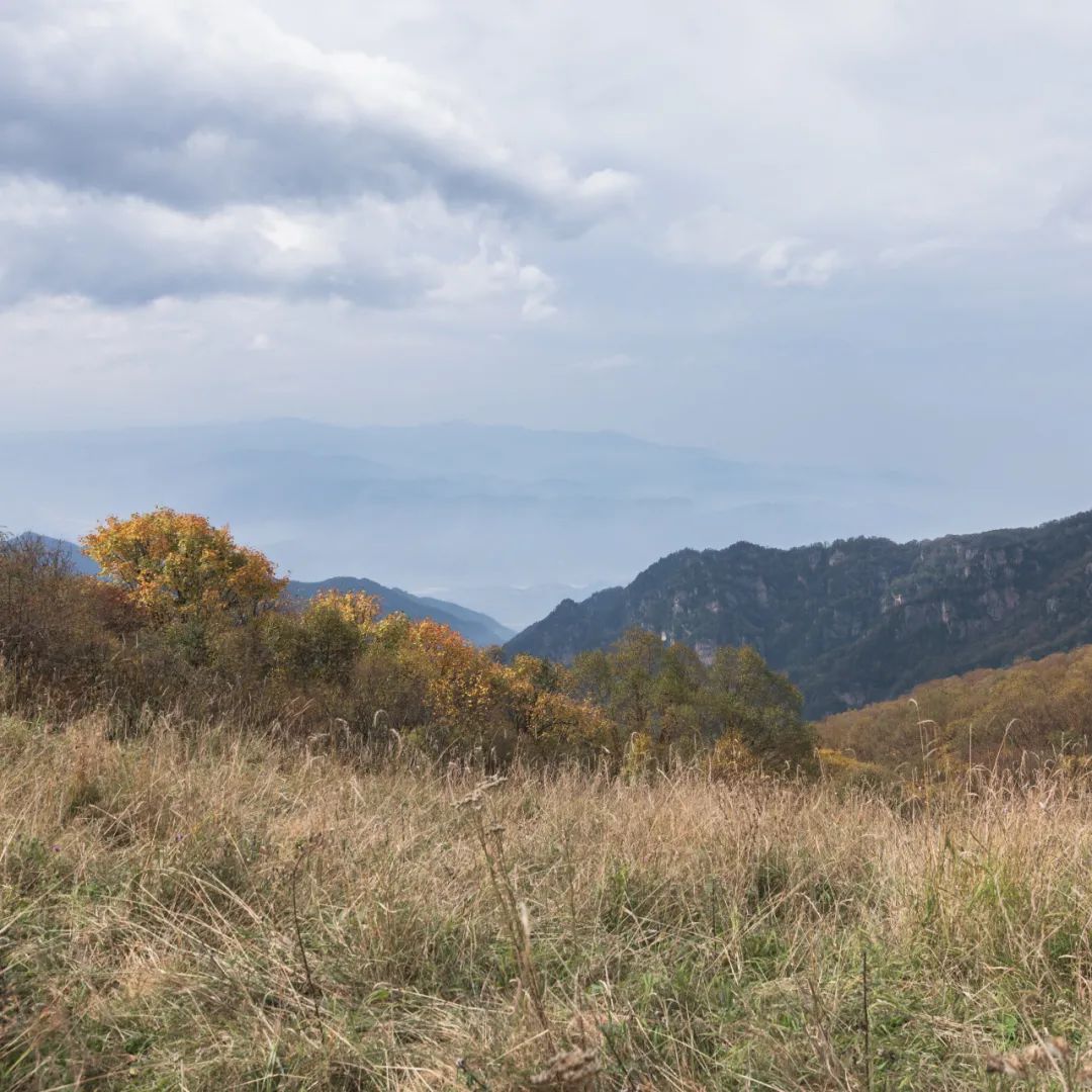 登太白山感受,太白山景区登顶拔仙台