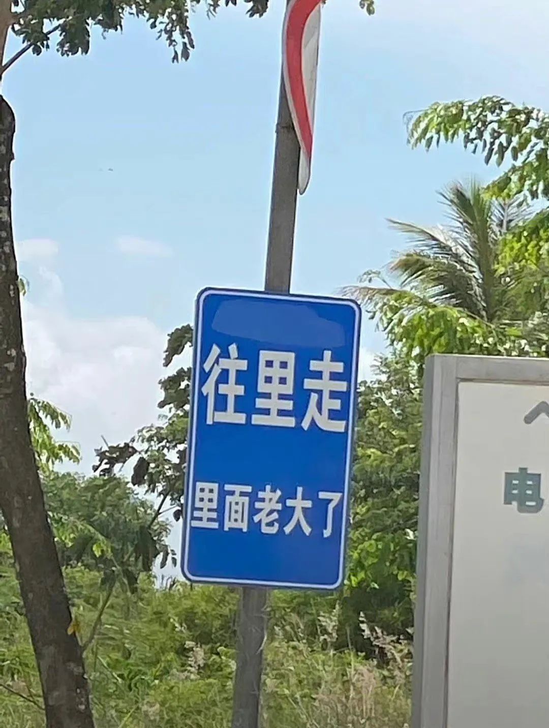 三亚东北话怎么说,三亚停车场东北方言标语