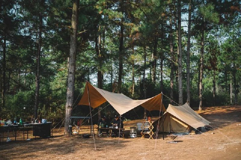 49家服饰品牌发起倡议租金减免成核心/露营火了!今年新增超7200