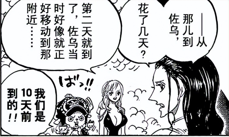 一口气看完海贼王蛋糕岛篇,海贼王蛋糕岛之后是什么篇