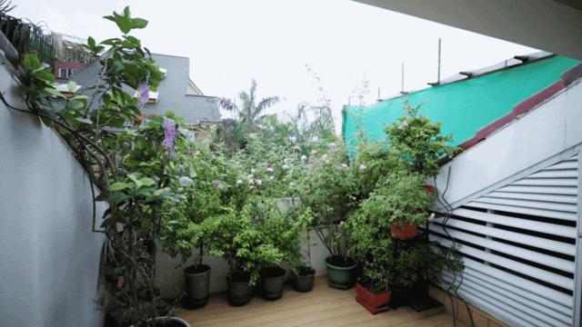 深圳一家六口给别墅装上大蚊帐,深圳一家六口别墅