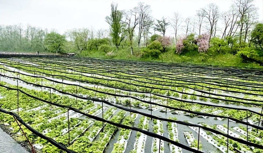 长野自由行攻略,长野冬季旅游攻略