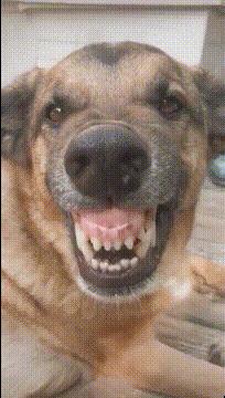 这衣服怎么穿内衣呀?不穿内衣怎么挺起来啊?