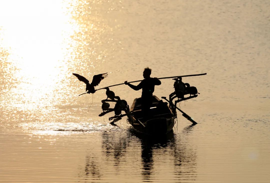 70-2002.8镜头尺寸,70-2002.8长焦镜头